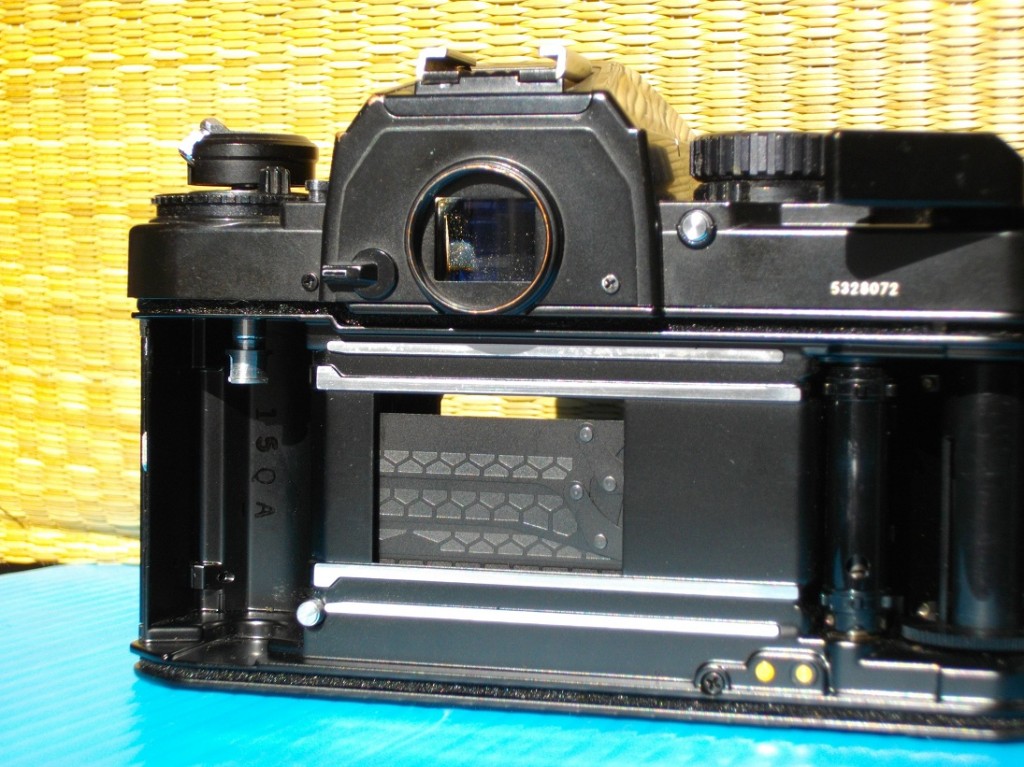 IMGP1027